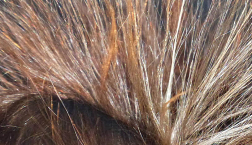 El-ementärt åk 4-6