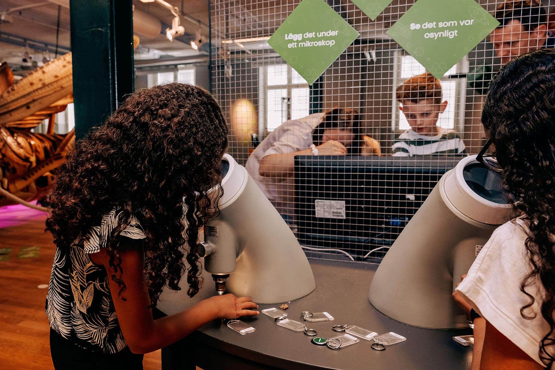 Brett utbud av skolprogram från förskolan till gymnasiet