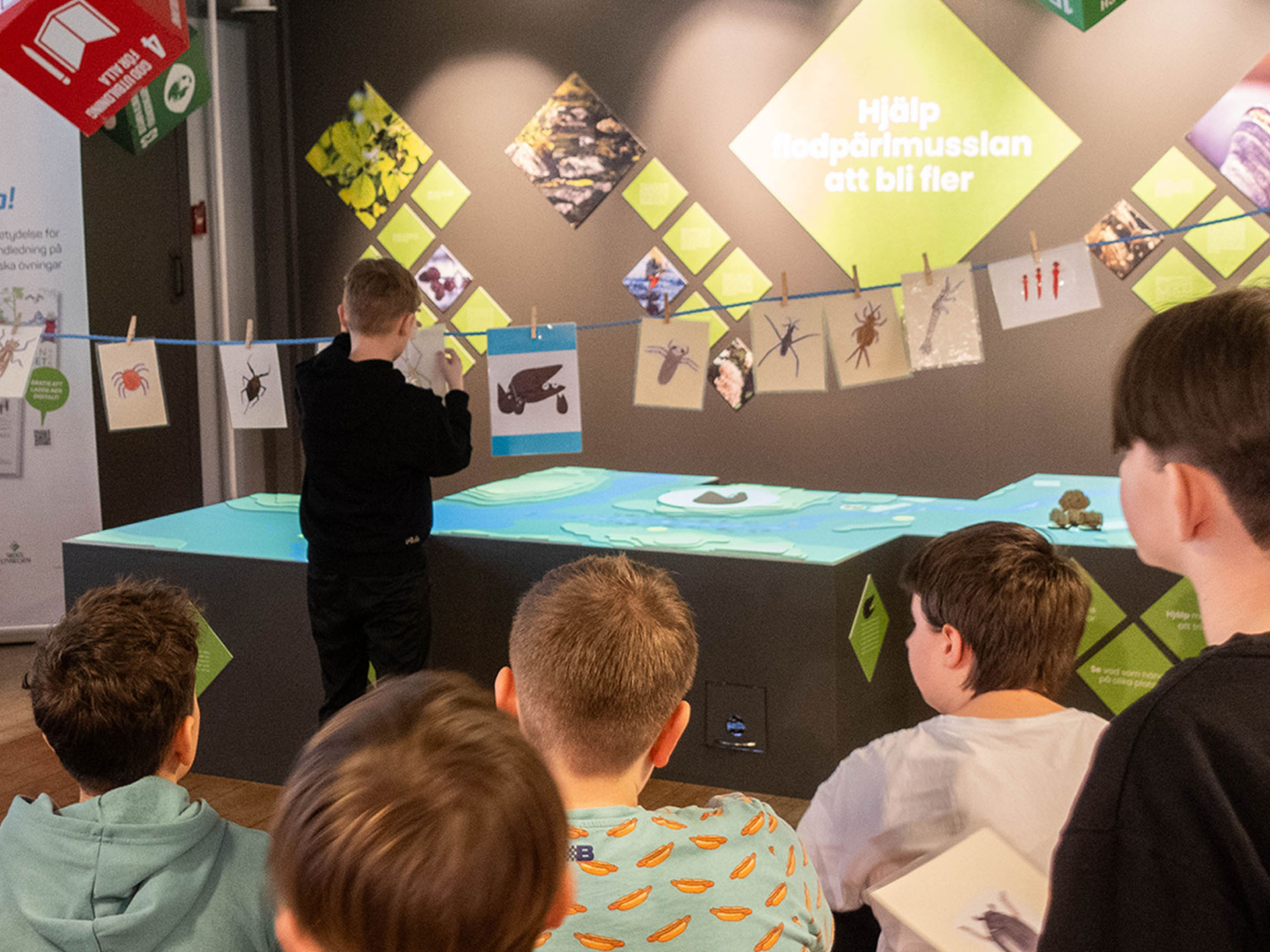 Hjälp flodpärlmusslan